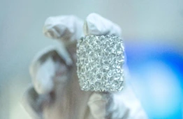 By Designing Next-Generation Materials, Engineers Are Learning from Nature